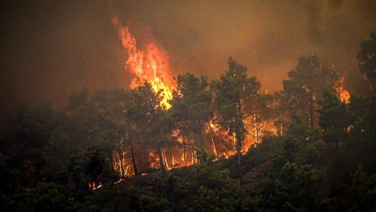 Ketika Hutan Menjadi Lautan Api: 7 Kebakaran Hutan Terparah dalam Sejarah